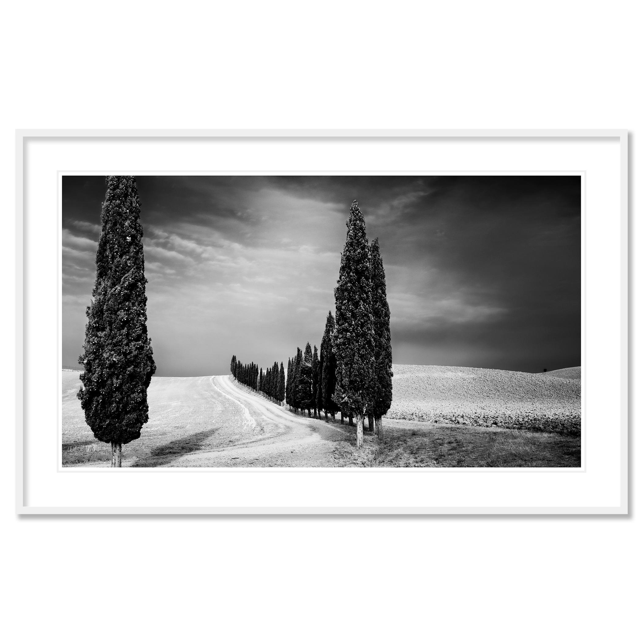 Viale dei cipressi, Toscana, fotografia in bianco e nero, paesaggio limitato in vendita 1