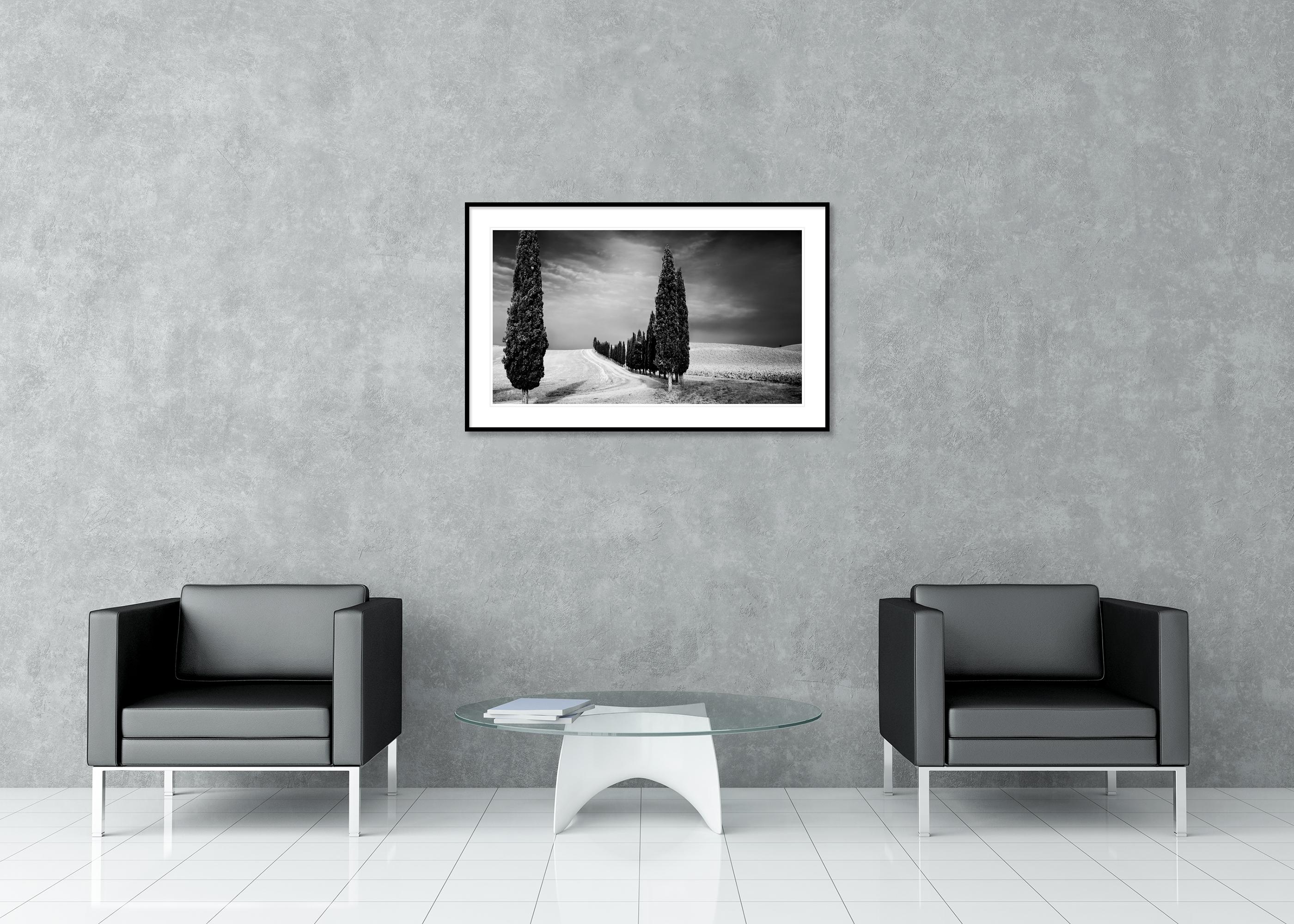 Viale dei cipressi, Toscana, fotografia in bianco e nero, paesaggio limitato in vendita 2