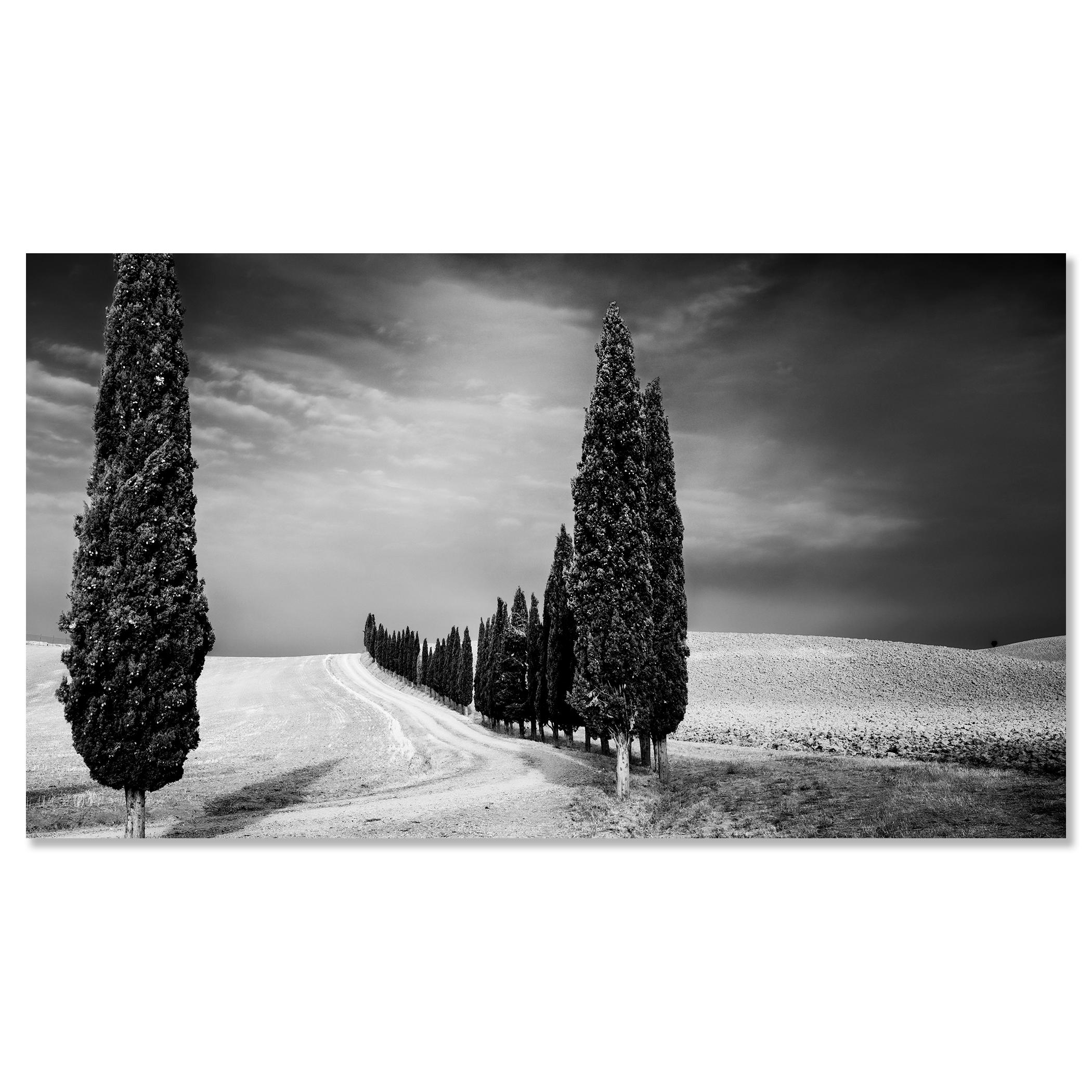 Viale dei cipressi, Toscana, fotografia in bianco e nero, paesaggio limitato in vendita 3