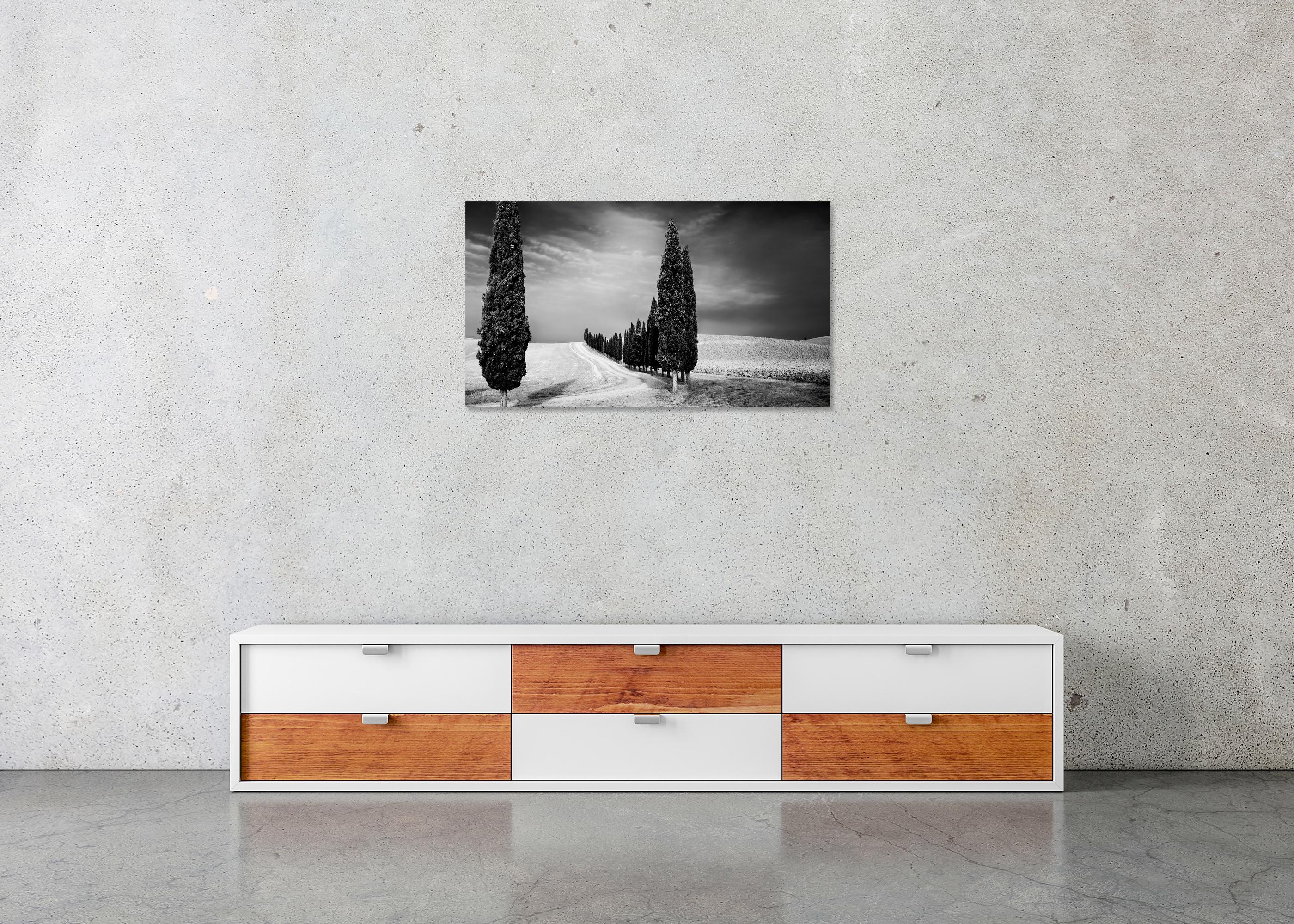 Viale dei cipressi, Toscana, fotografia in bianco e nero, paesaggio limitato in vendita 4