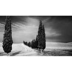 Viale dei cipressi, Toscana, fotografia in bianco e nero, paesaggio limitato