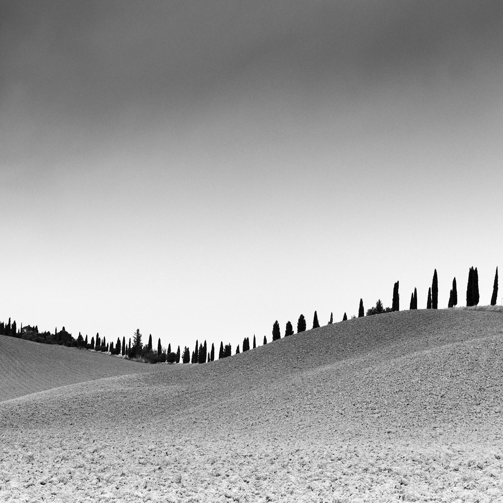 Cypress Trees Panorama, Tuscany, black and white fine art photography landscape For Sale 1