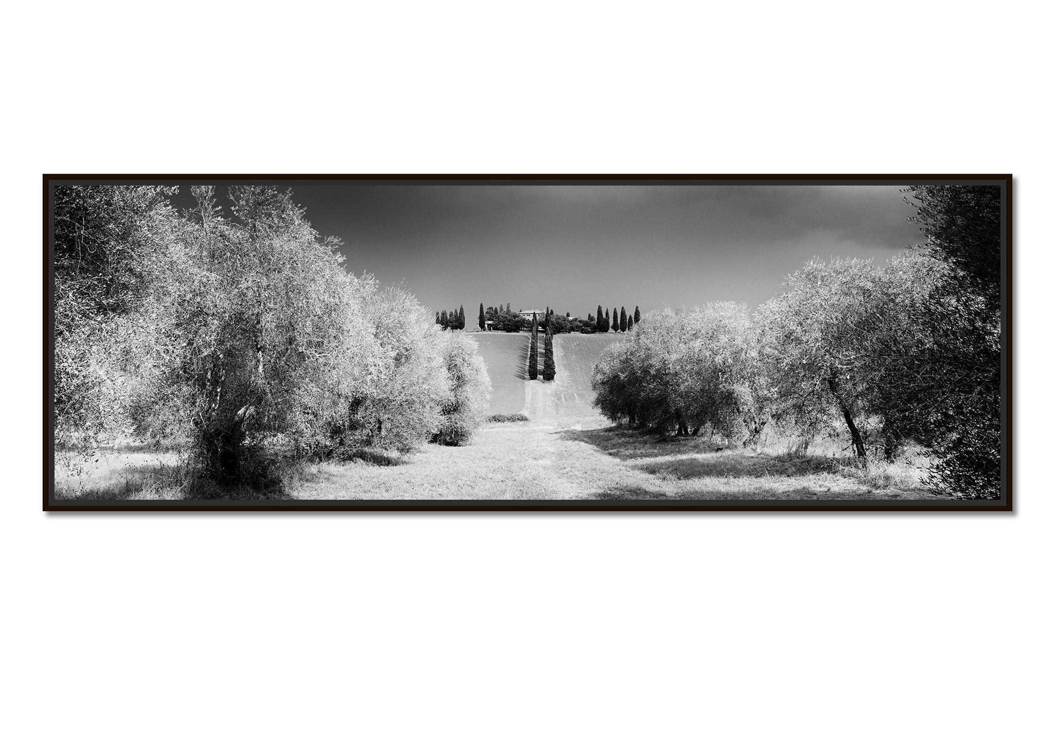 Cypress Trees, Rural House, Tuscany, black and white photography, landscape - Photograph by Gerald Berghammer