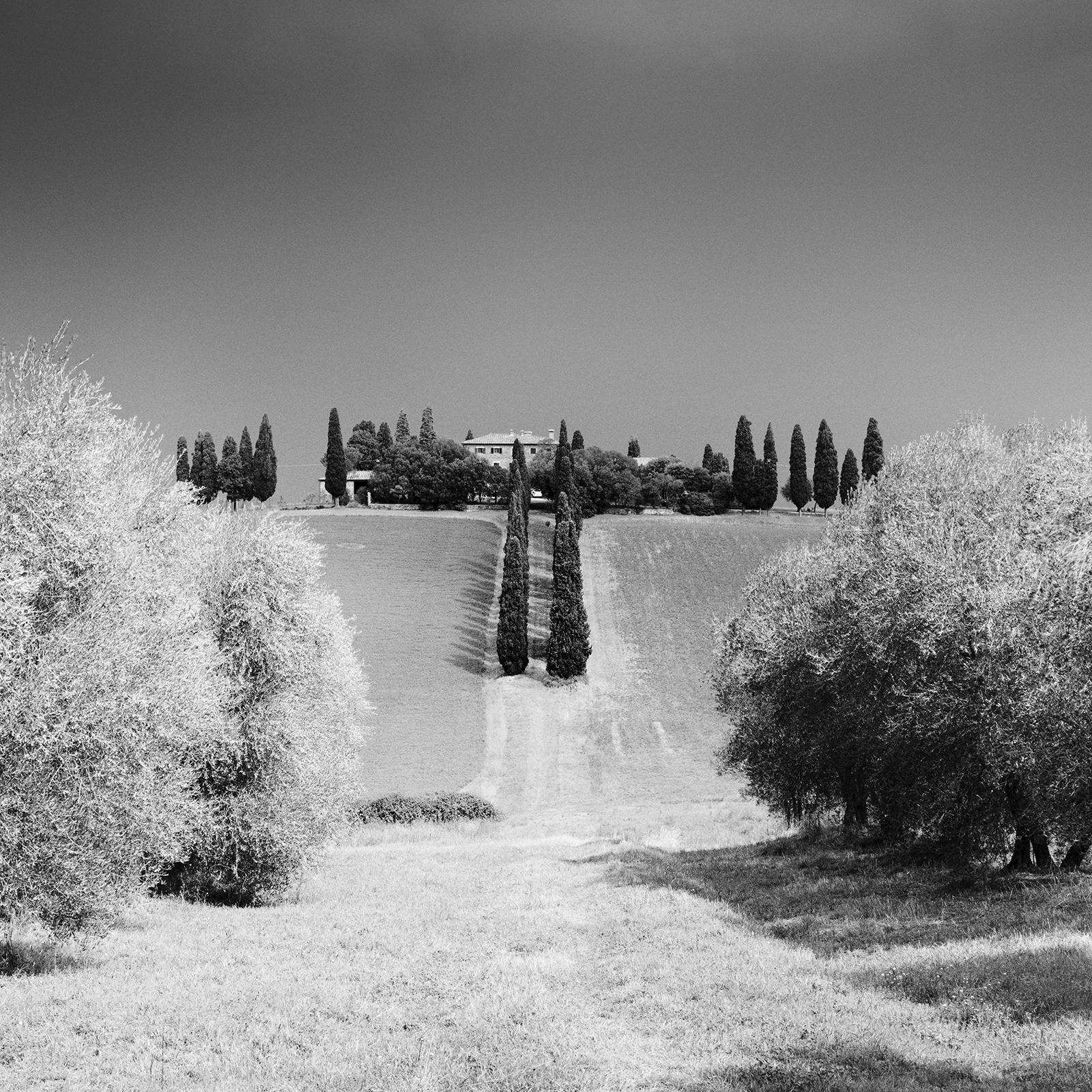 Cypress Trees, Rural House, Tuscany, black and white photography, landscape For Sale 3
