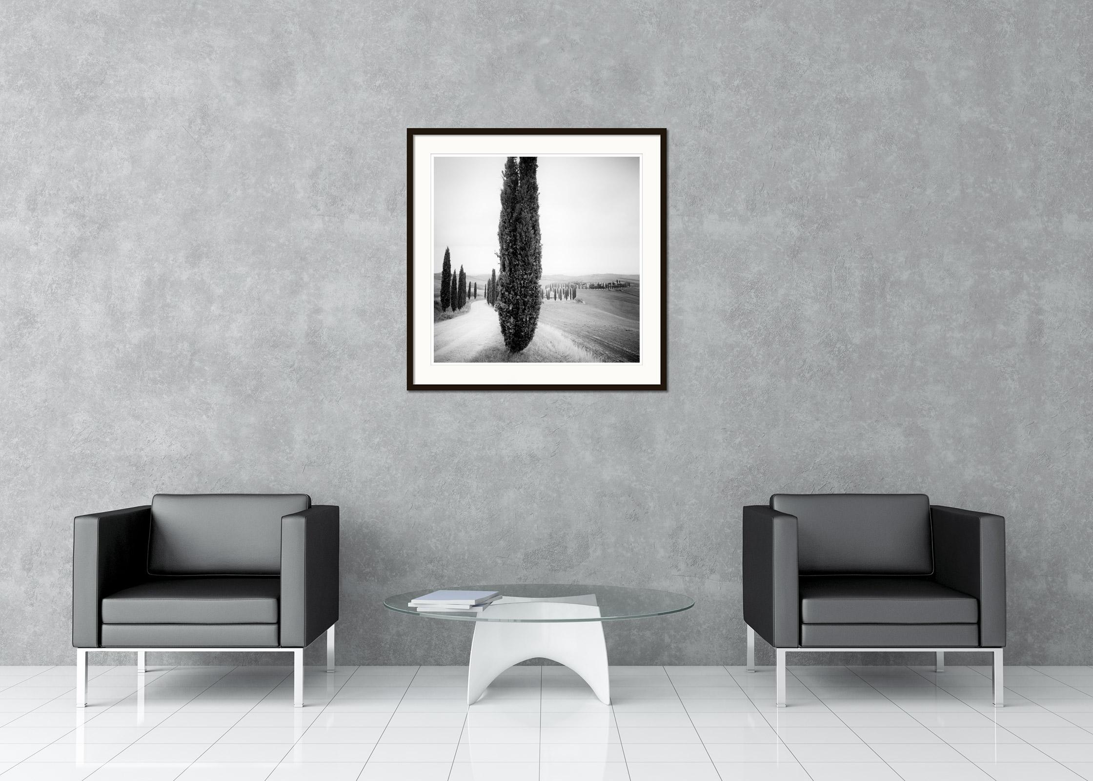 Cypress Trees, Tree Avenue, Tuscany, black and white art landscape photography - Contemporary Photograph by Gerald Berghammer