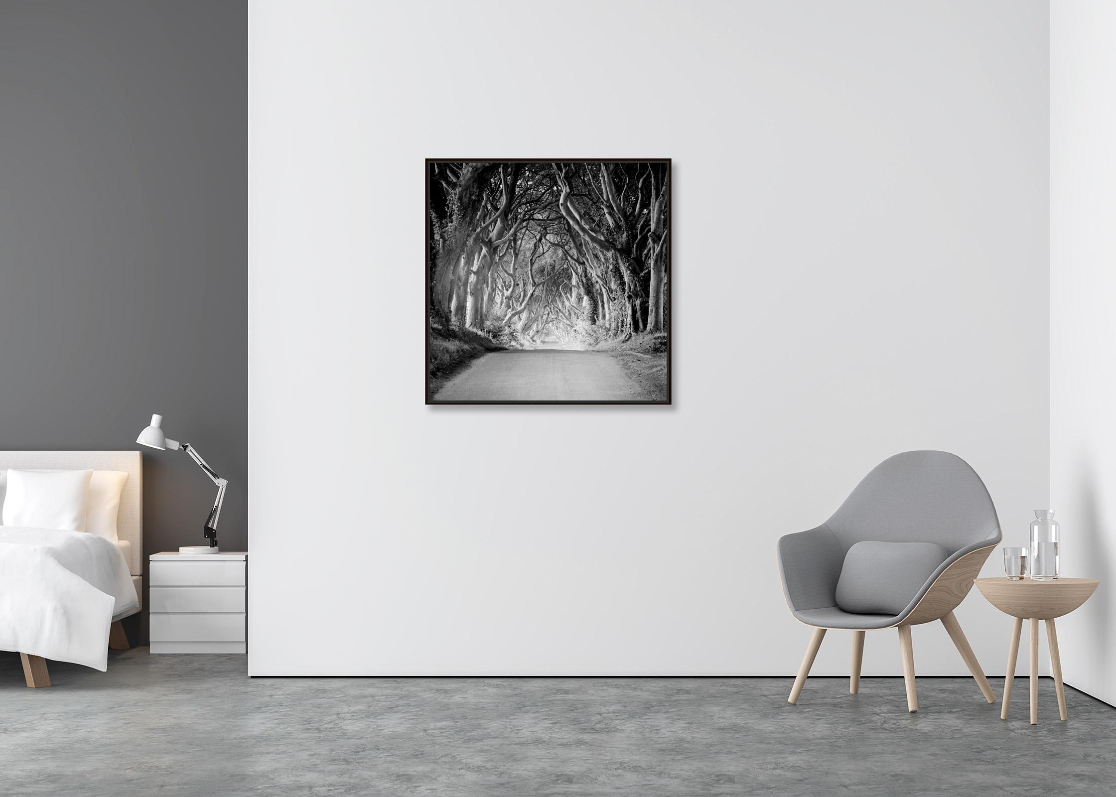 Dunkle Hecken, Irland, Buchenbaum-Avenue, Schwarz-Weiß-Landschaftsfotografie (Zeitgenössisch), Photograph, von Gerald Berghammer