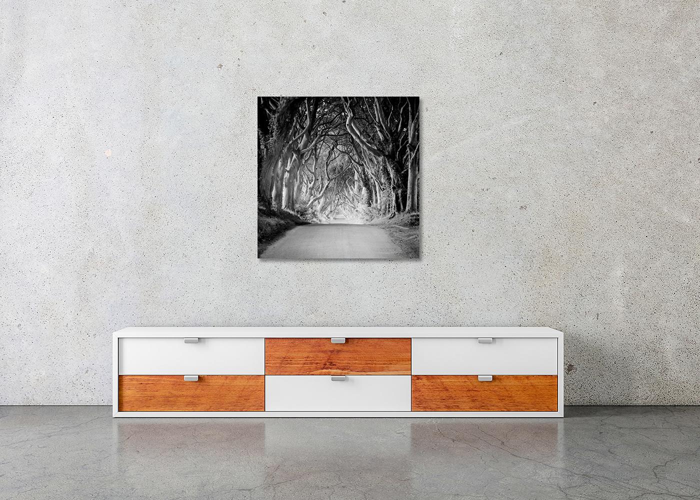 Dunkle Hecken, Irland, Baumallee, Monochrome, Foto in limitierter Auflage, 40x40cm im Angebot 1