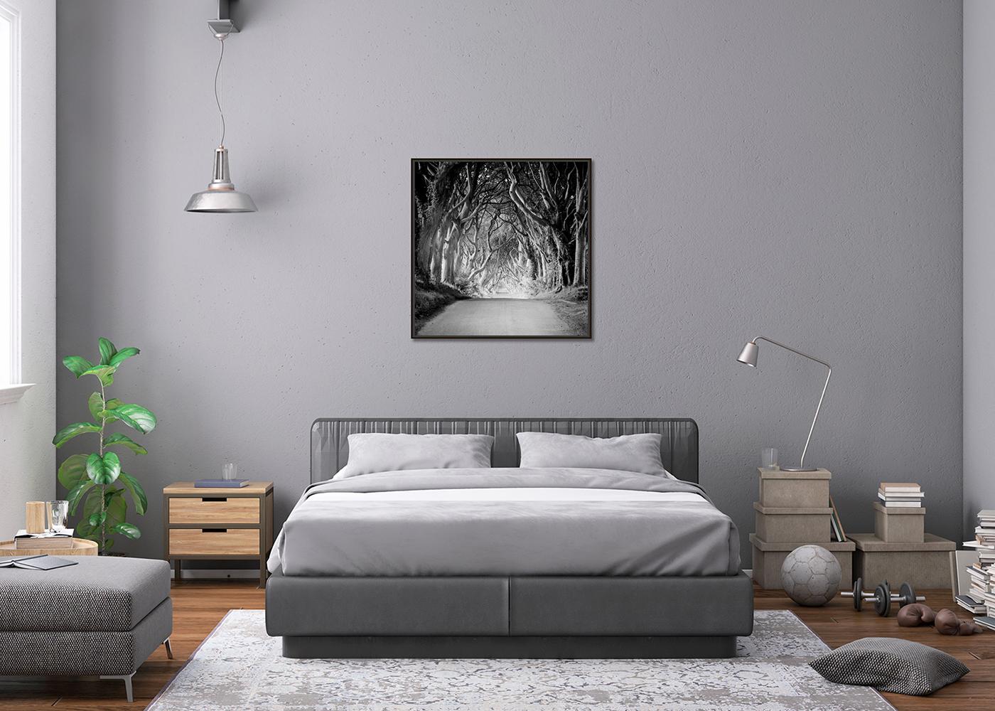 Dunkle Hecken, Irland, Baumallee, Monochrome, Foto in limitierter Auflage, 40x40cm im Angebot 2
