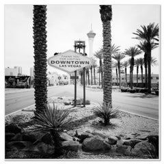 Centro di Las Vegas, Nevada, Stati Uniti, stampe in bianco e nero, paesaggi, palme