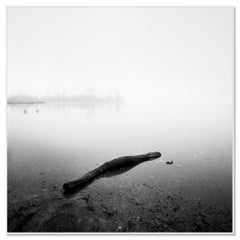 Drift Wood, Lakeside, monochrome, long exposure, waterscape, limited edition