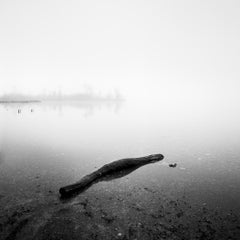 Drift Wood, Lakeside, monochrome, long exposure, waterscape, limited edition