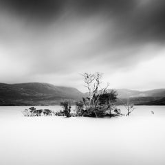 Drowned Island, sonnenbeschienenene Bäume, Schottland, Schwarz-Weiß- Langzeitbelichtungsfotografie 