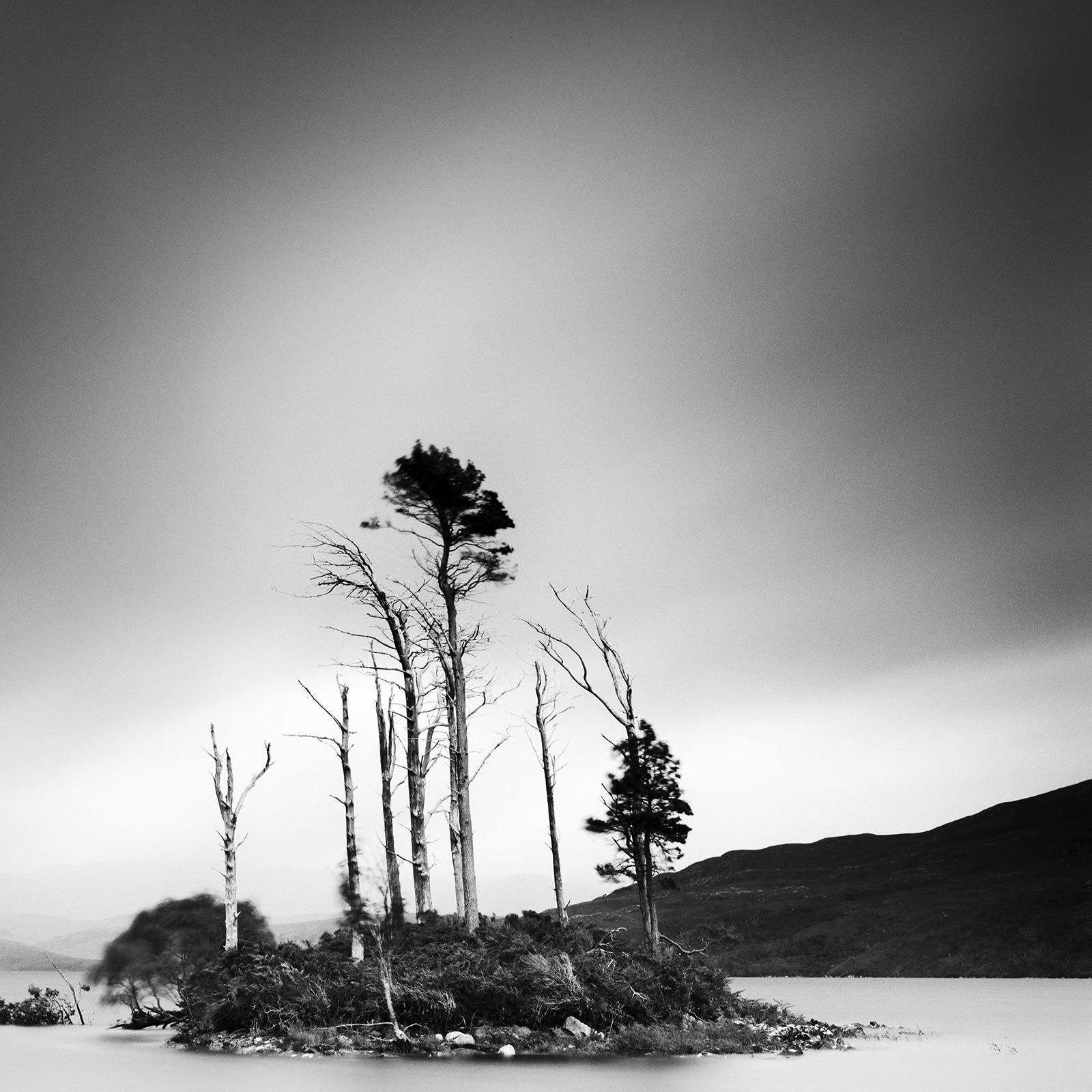 Drowned Island Trees in moor Scotland black and white landscape art photography For Sale 5
