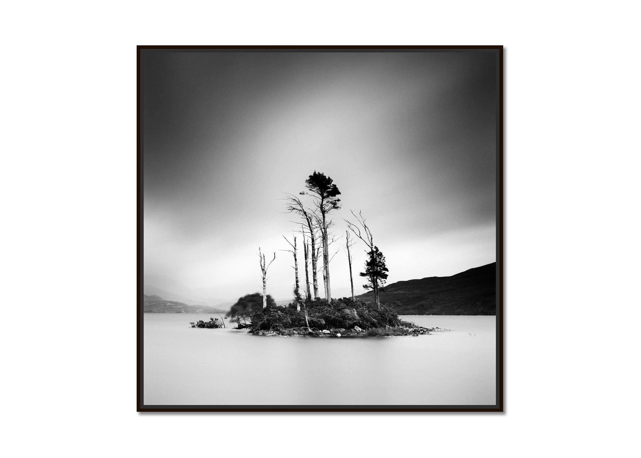 Drowned Island Trees in moor Scotland black and white landscape art photography - Photograph by Gerald Berghammer
