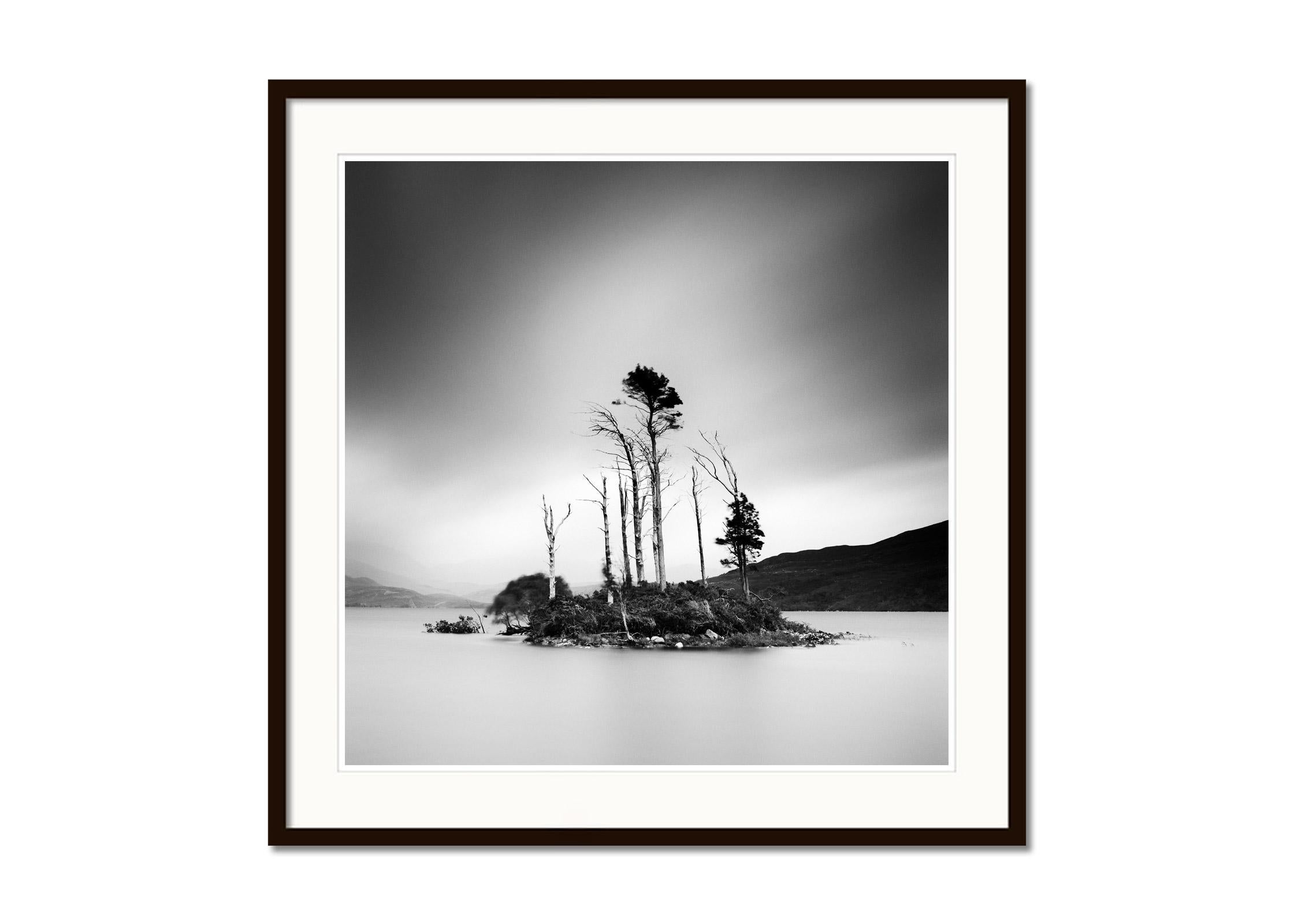 Drowned Island Trees in moor Scotland black and white landscape art photography - Gray Landscape Photograph by Gerald Berghammer