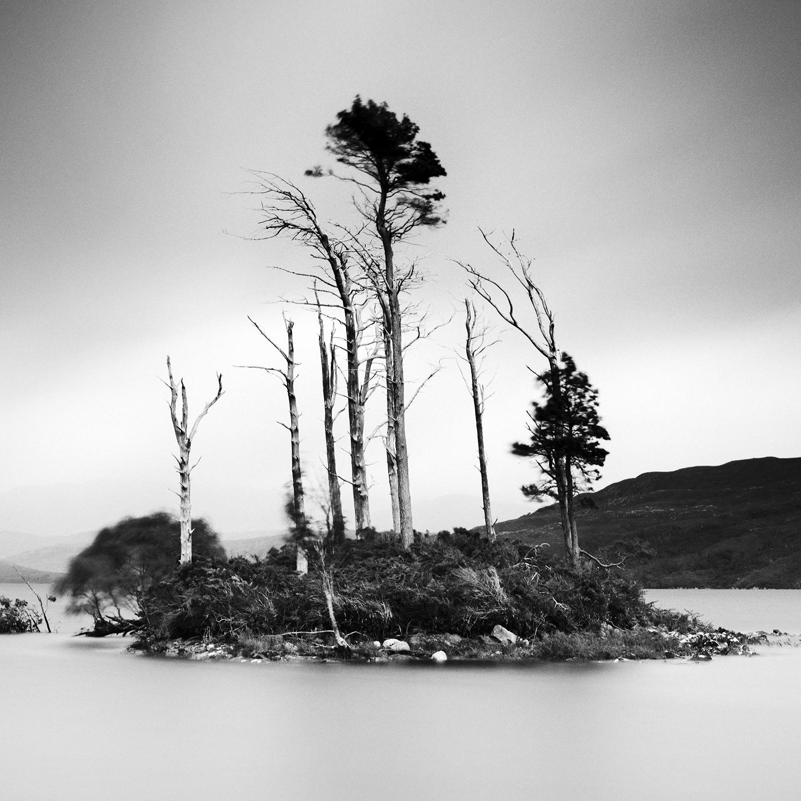 Drowned Island Trees in moor Scotland black and white landscape art photography For Sale 3