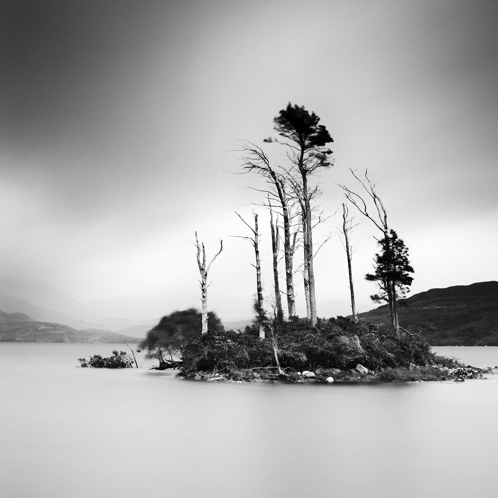 Drowned Island Trees in moor Scotland black and white landscape art photography For Sale 4