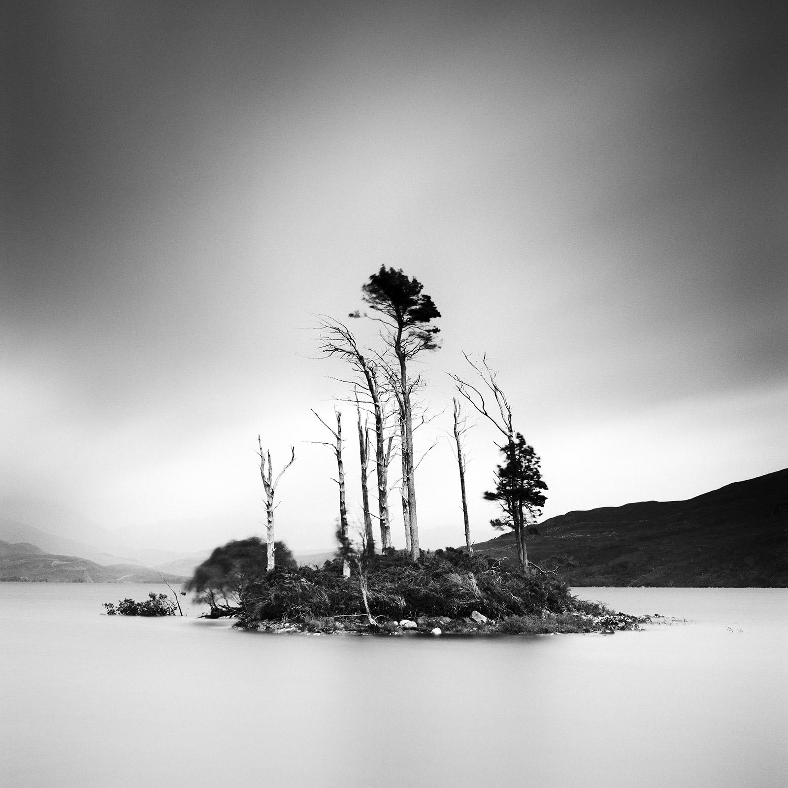 Gerald Berghammer Drowned Island Trees in moor Scotland black and