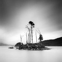 Drowned Island Trees in moor Scotland black and white landscape art photography