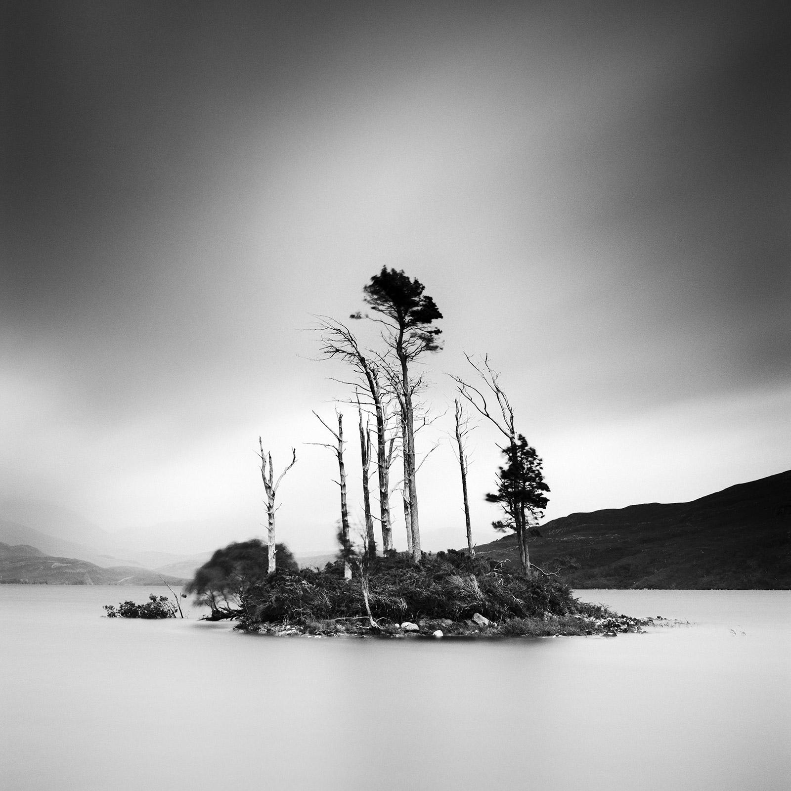 Gerald Berghammer Landscape Photograph - Drowned Island Trees in moor Scotland black and white landscape art photography