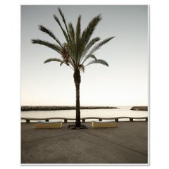 Early Morning at the Harbor - fotografia paesaggistica di grande formato in edizione limitata