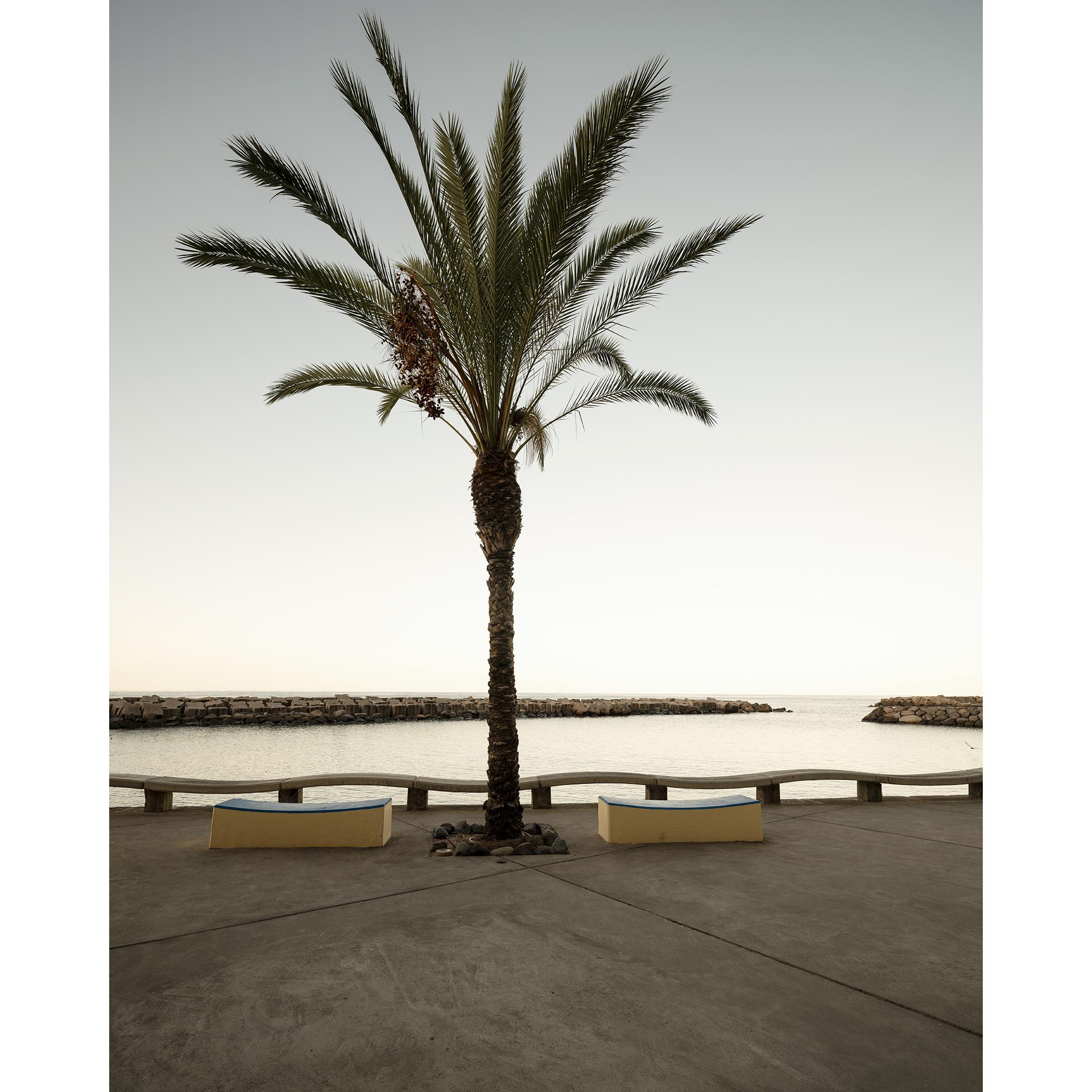Early Morning at the Harbor - photographie de paysage grand format édition limitée