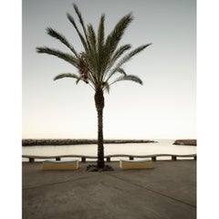 Early Morning at the Harbor - large format landscape photography limited edition