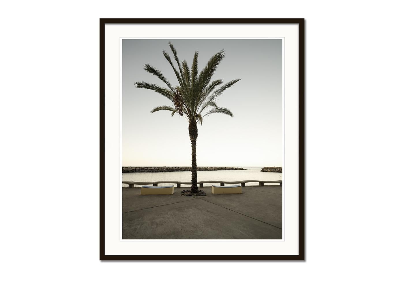 Early Morning at the Harbor, large format photograph, limited edition landscape - Gray Color Photograph by Gerald Berghammer