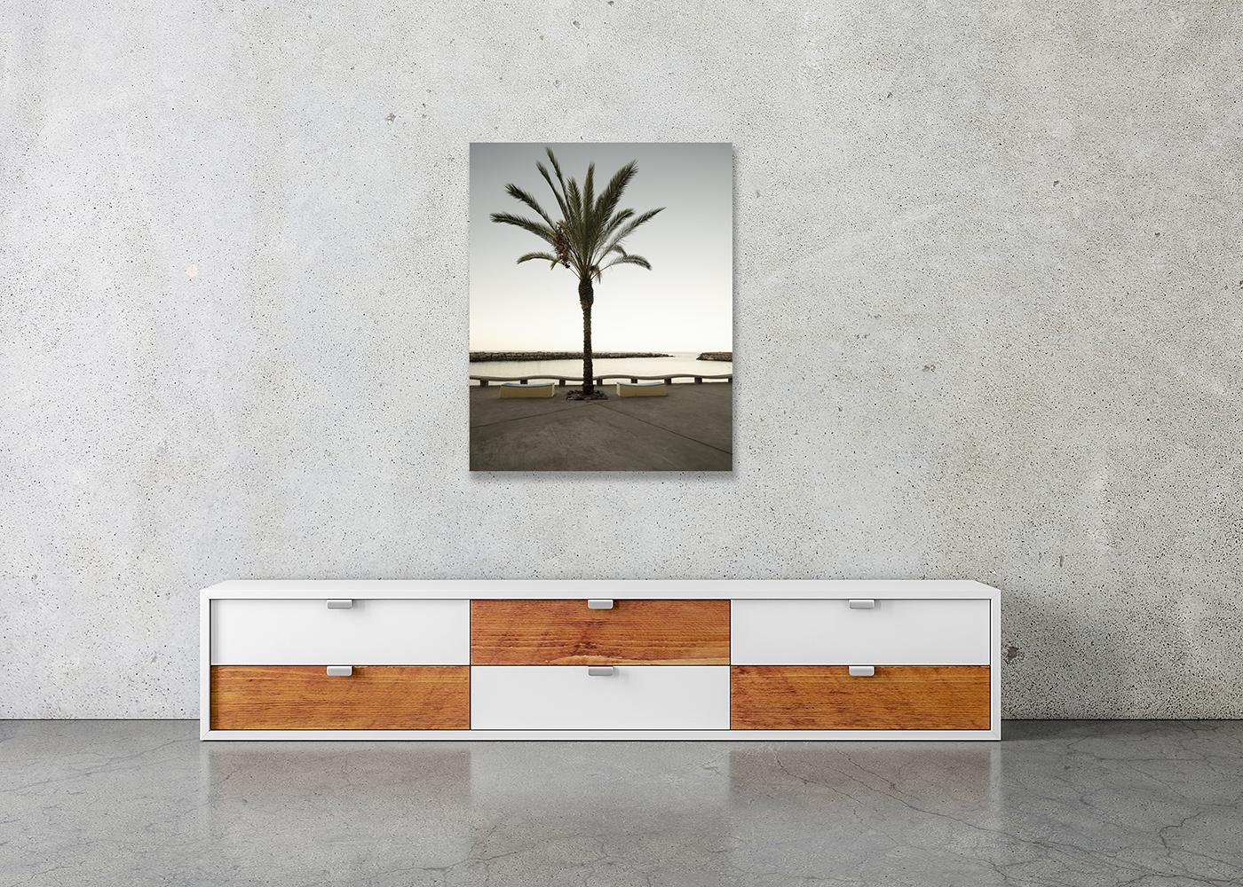 Early Morning at the Harbor, large format photograph, limited edition landscape For Sale 1