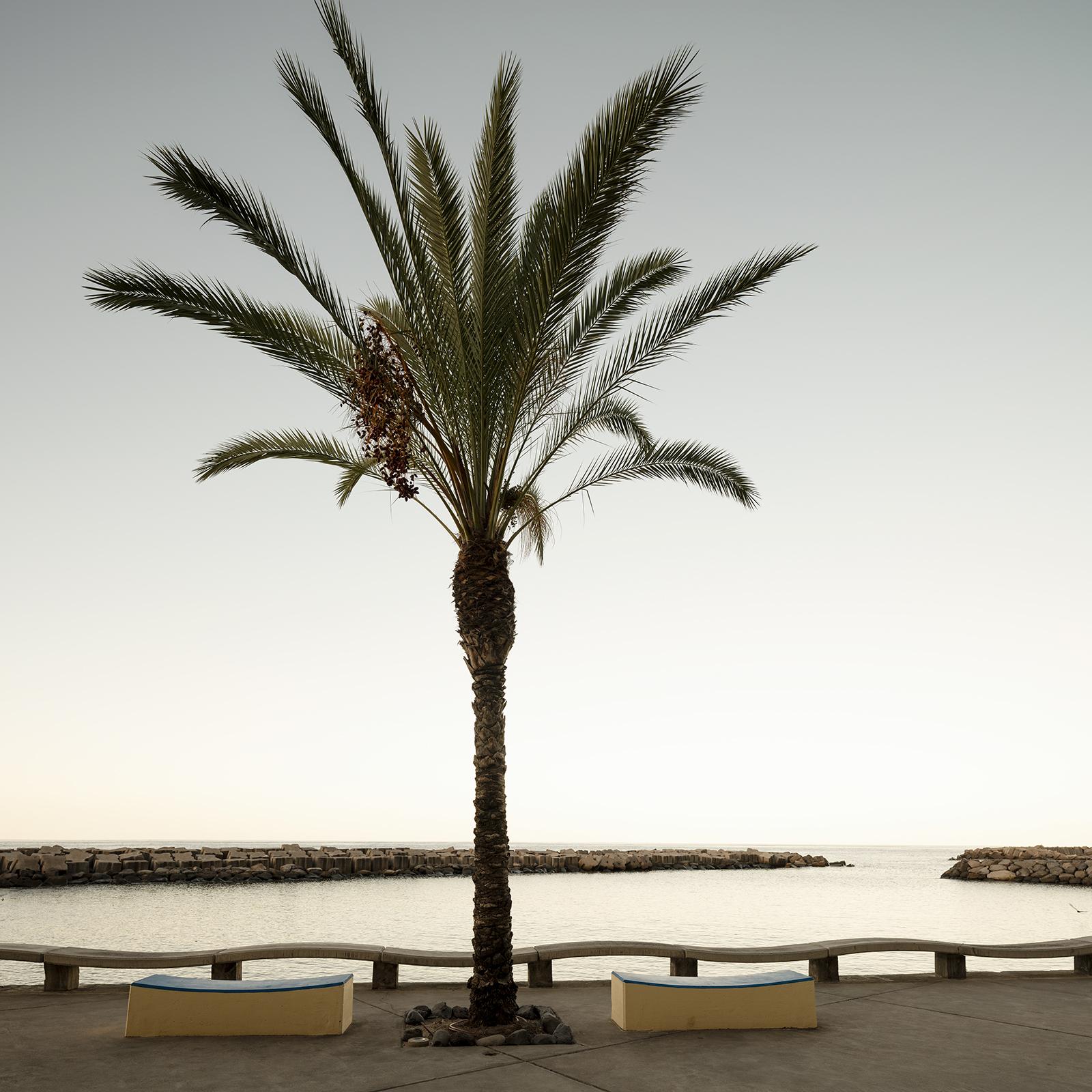 Early Morning at the Harbor, large format photograph, limited edition landscape For Sale 3