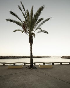 Early Morning at the Harbor, large format photograph, limited edition landscape