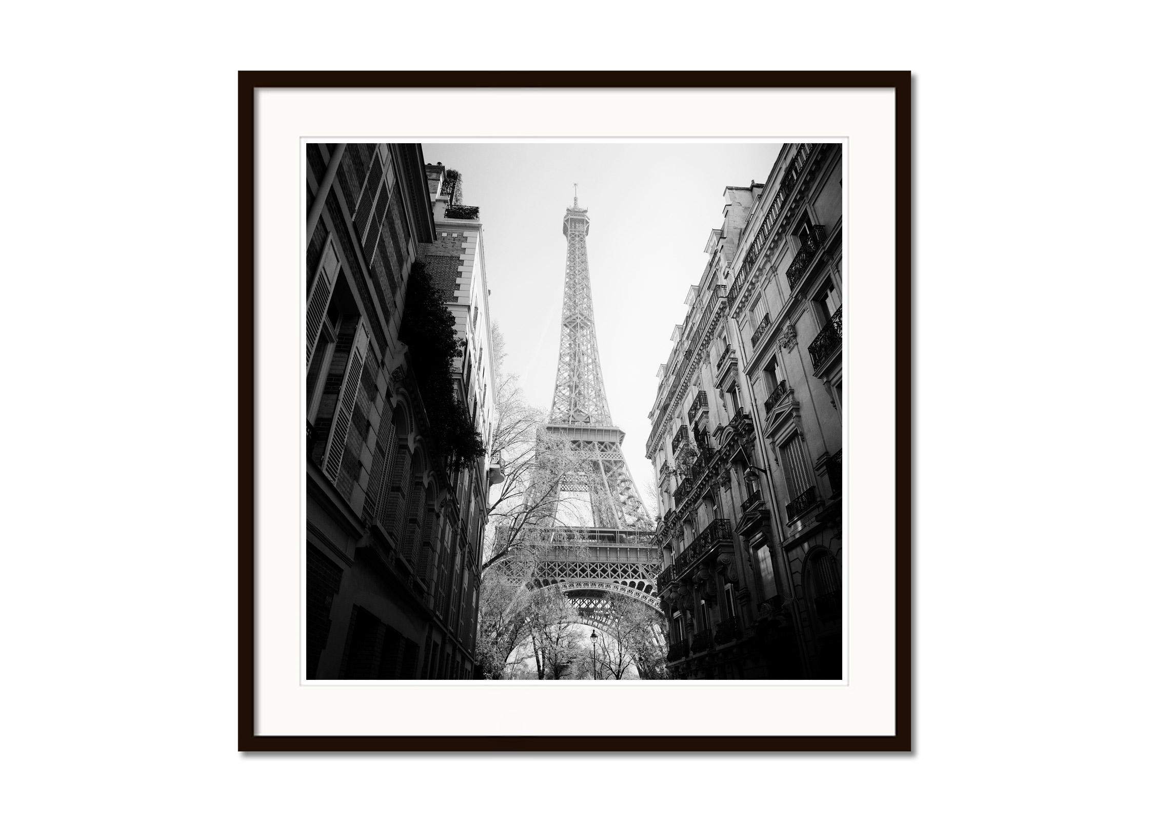 tina turner eiffel tower poster