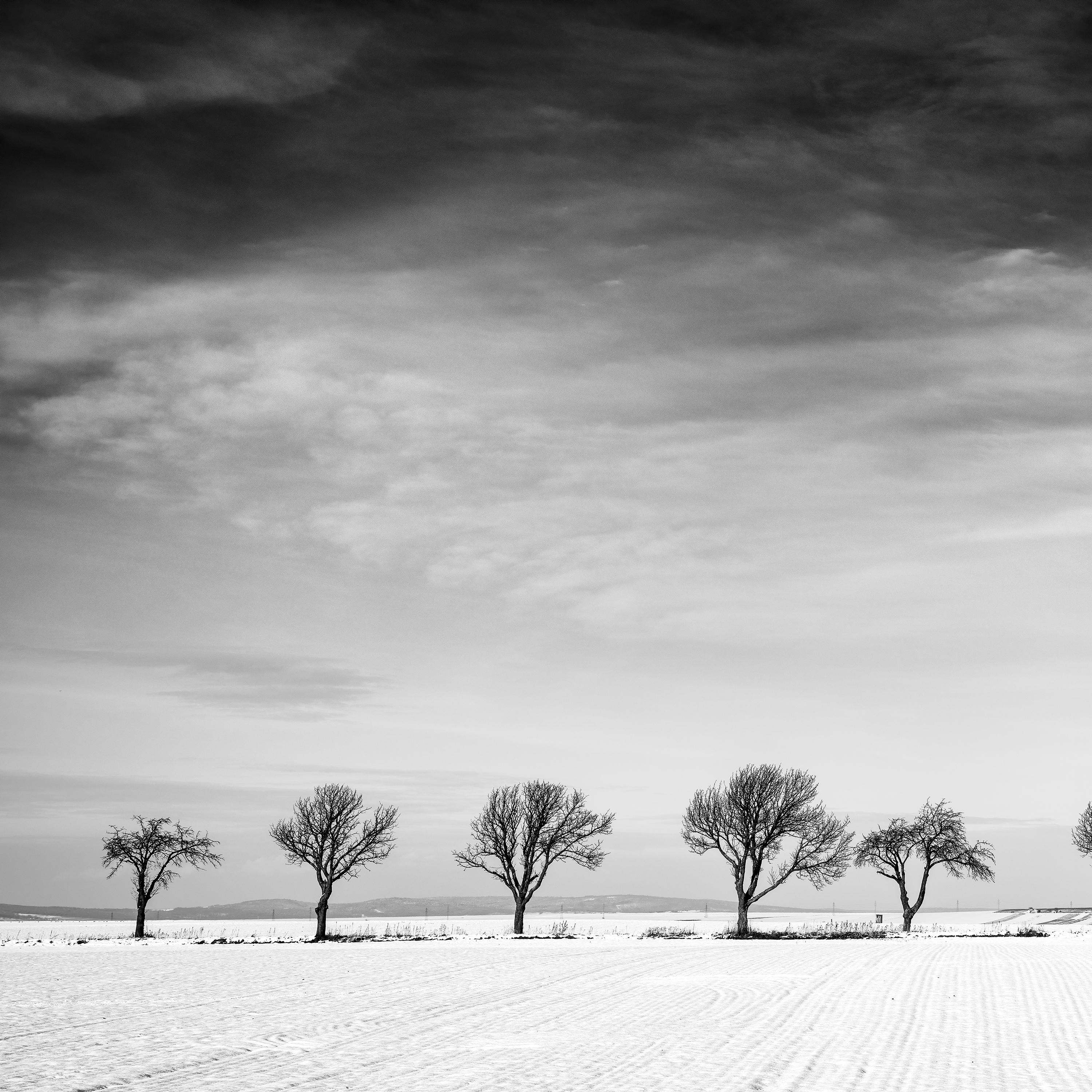 Black and White Fine Art Photography - Winter landscape with trees in a row, minimalist art, edition of 7. Signed, titled, dated and numbered by artist. Certificate of authenticity included. Printed with 4cm white border.
International award winner