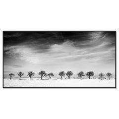 Eleven Trees in a Snow Field, Winter Wonderland Landscape Limited Edition Print