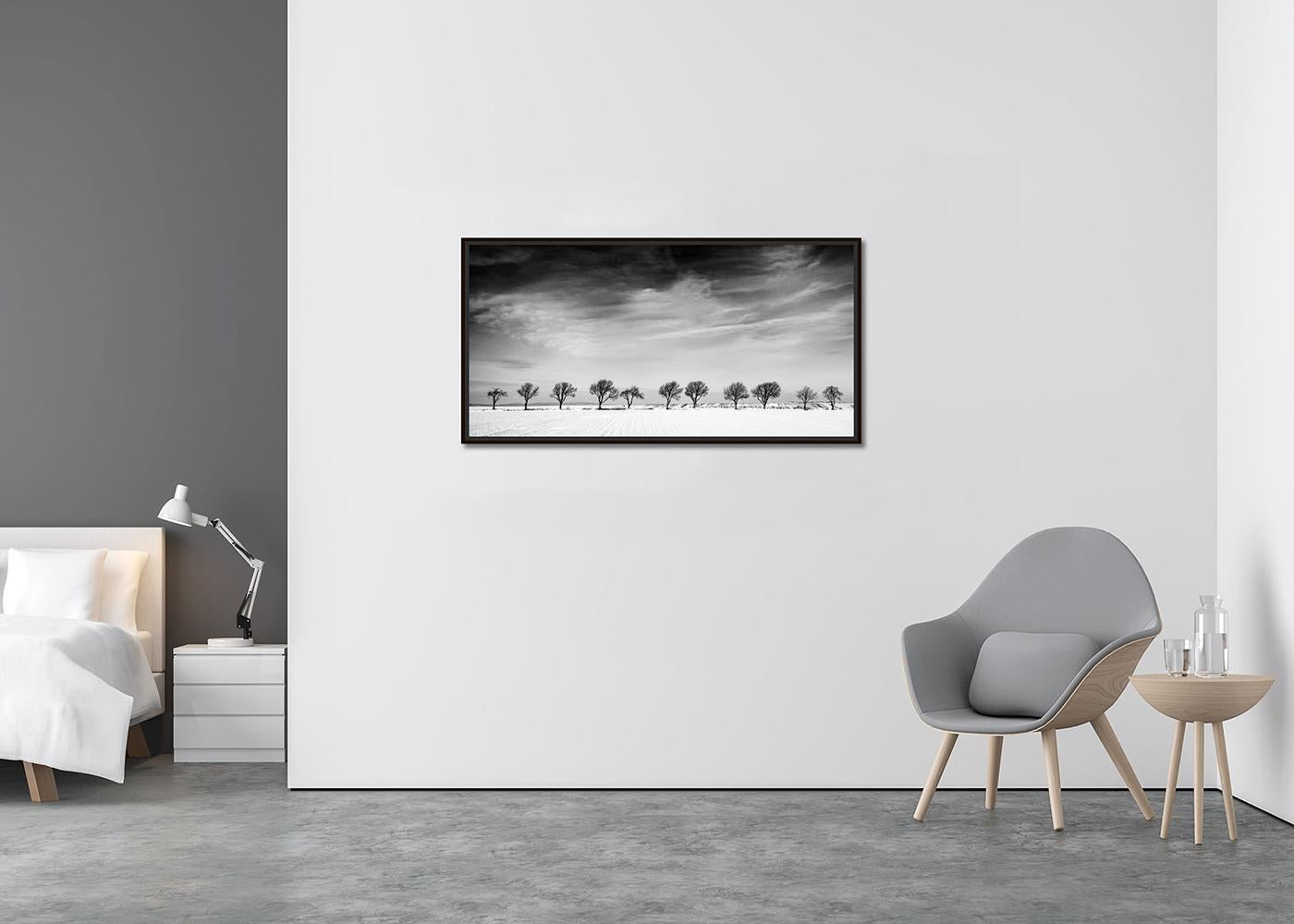 Undici alberi in un campo di neve, Winter Wonderland, Paesaggio, Edizione Limitata - Photograph Contemporaneo di Gerald Berghammer