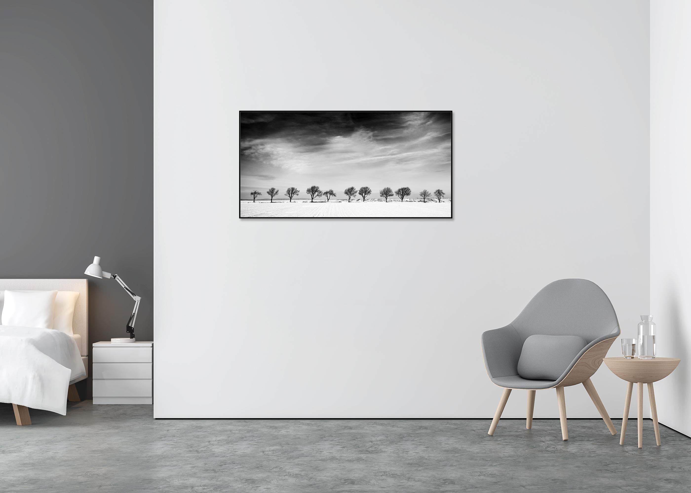 Once árboles en el campo nevado, País de las Maravillas Invernal, Paisaje, Edición Limitada - Landscape Photograph Gris de Gerald Berghammer