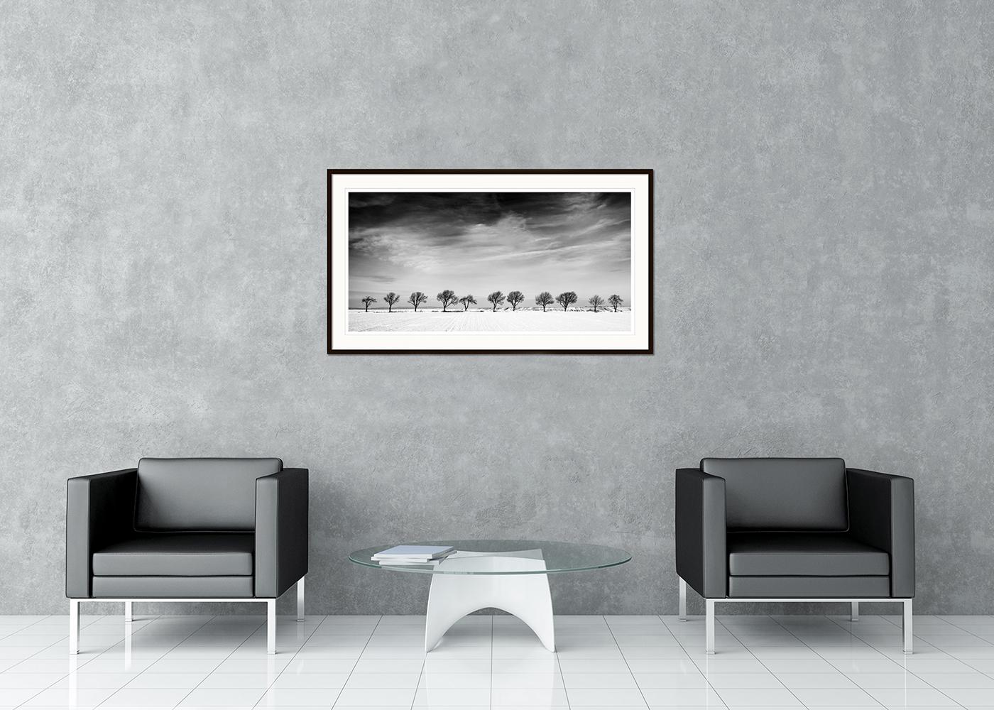 Fotografia panoramica in bianco e nero. Paesaggio invernale con alberi in fila, arte minimalista, edizione di 9. Firmato, intitolato, datato e numerato dall'artista. Certificato di autenticità incluso. Stampato con un bordo bianco di 4 cm.
Il