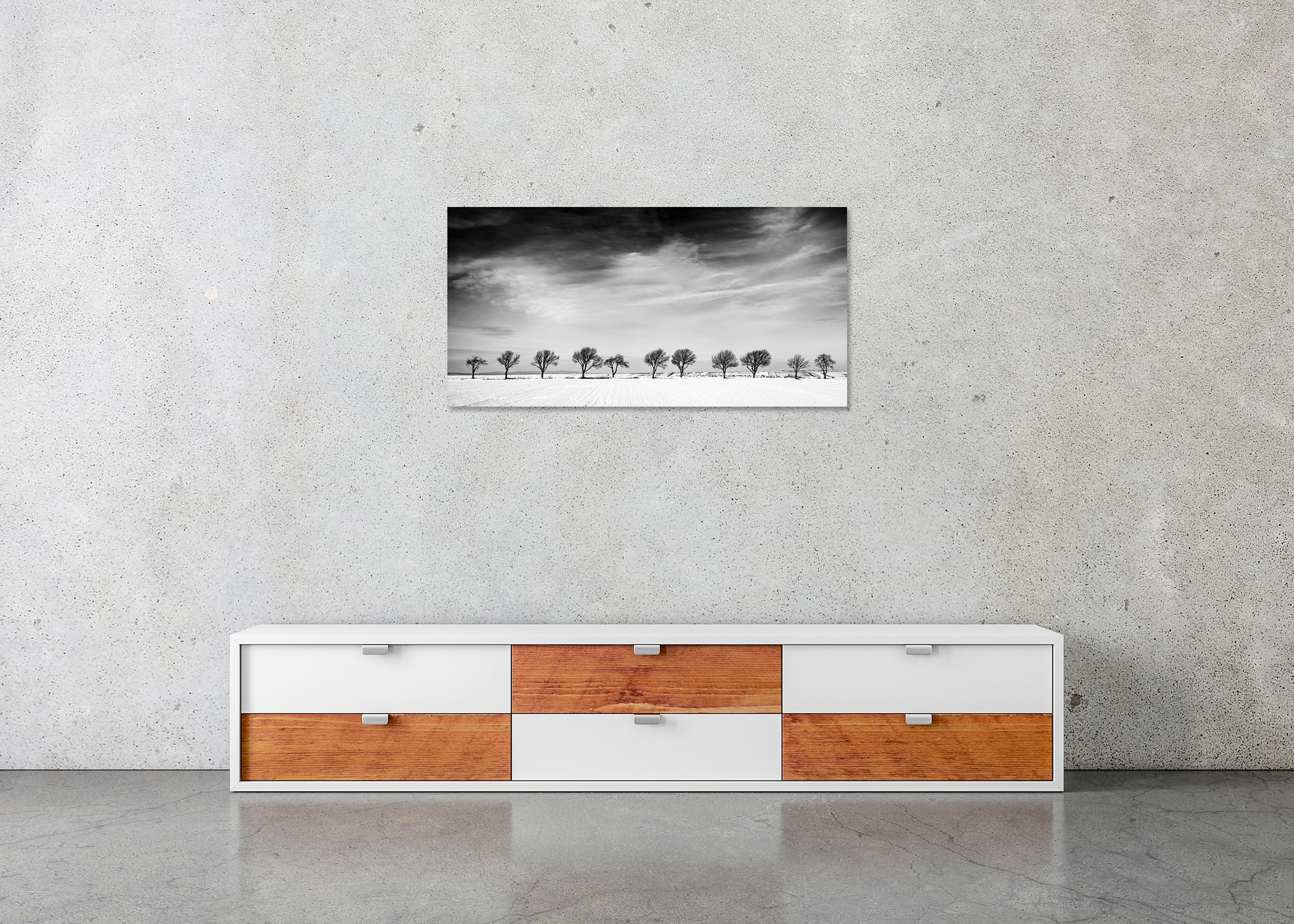 Once árboles en el campo nevado, País de las Maravillas Invernal, Paisaje, Edición Limitada en venta 4