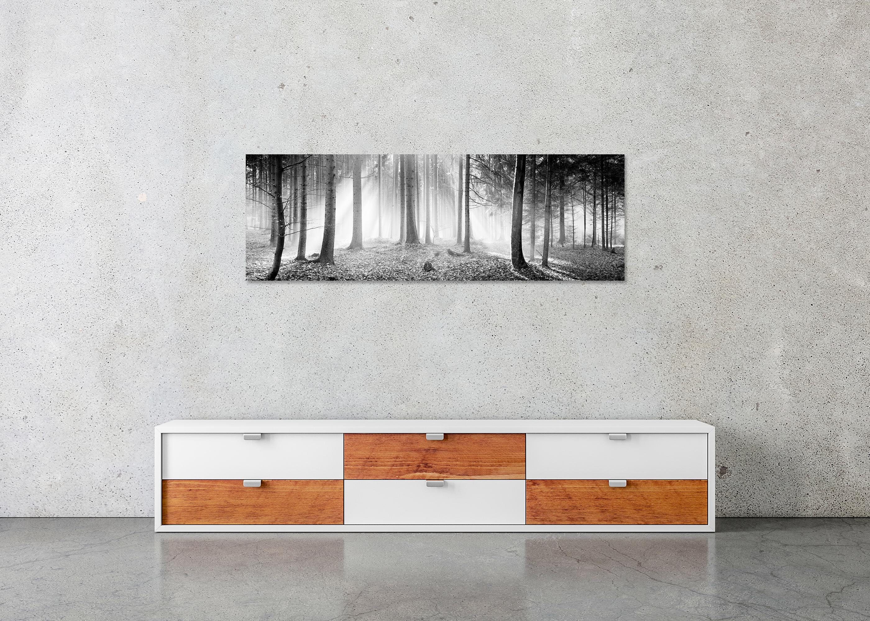 Enchanted Forest, Trees, black and white panorama landscape photography For Sale 4