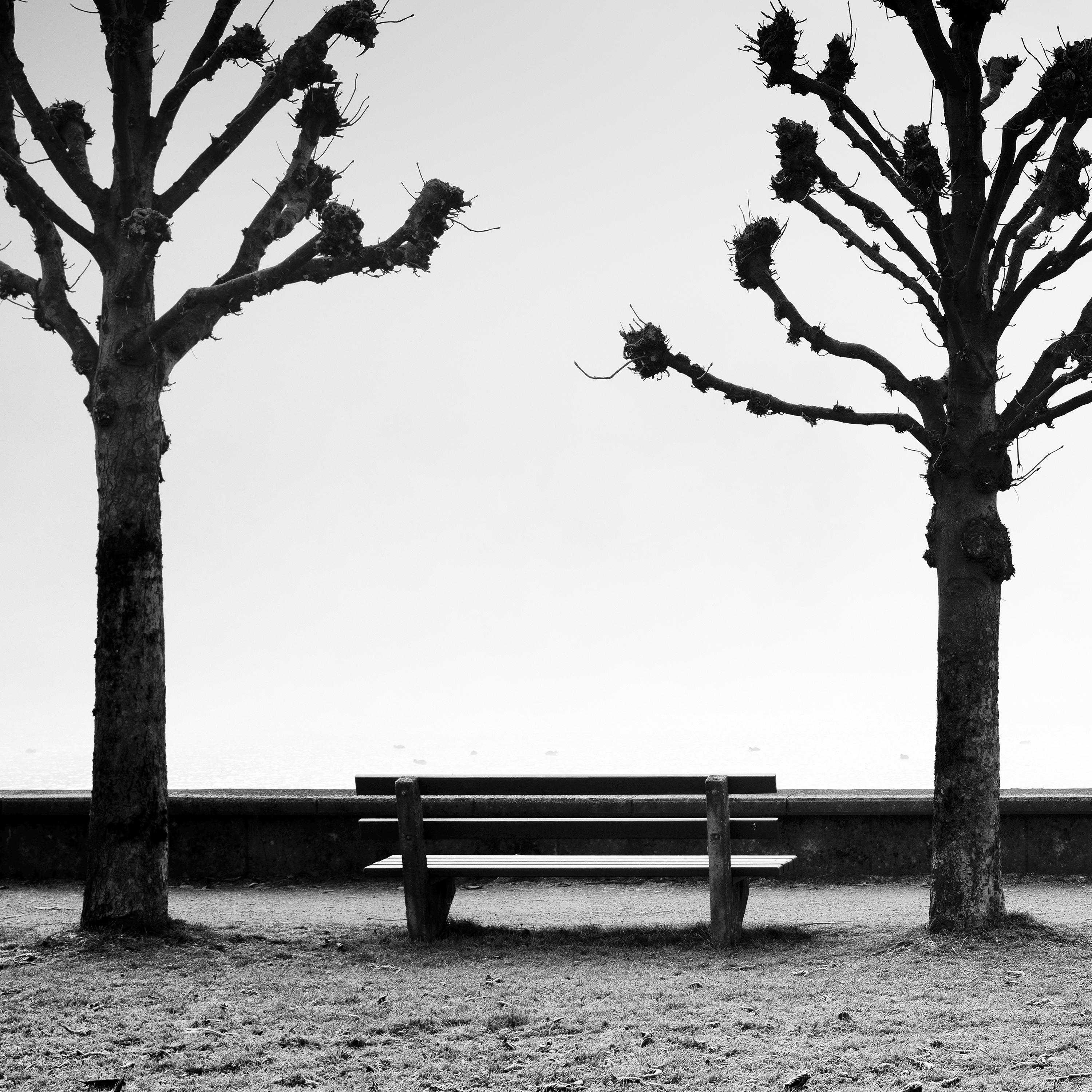 Esplanade with chestnut Trees, black and white fine art minimalism photography For Sale 5
