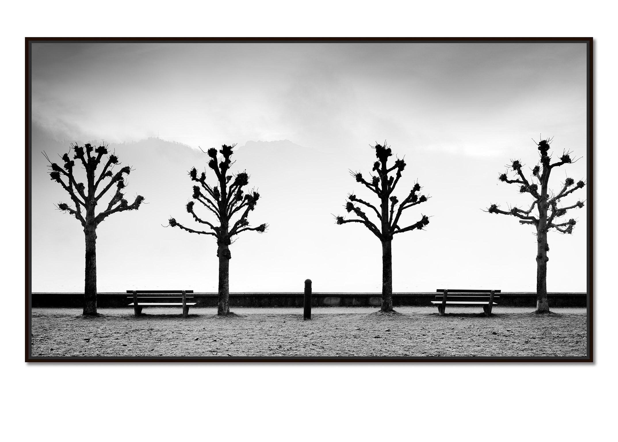 Esplanade mit Kastanienbäumen, Schwarz-Weiß-Fotografie der bildenden Kunst, Minimalismus und Schwarz-Weiß-Fotografie – Photograph von Gerald Berghammer