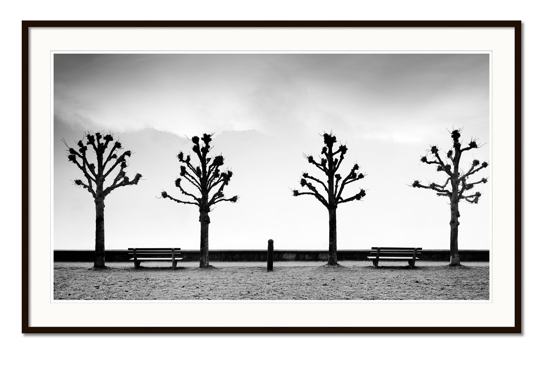 Esplanade mit Kastanienbäumen, Schwarz-Weiß-Fotografie der bildenden Kunst, Minimalismus und Schwarz-Weiß-Fotografie (Grau), Black and White Photograph, von Gerald Berghammer