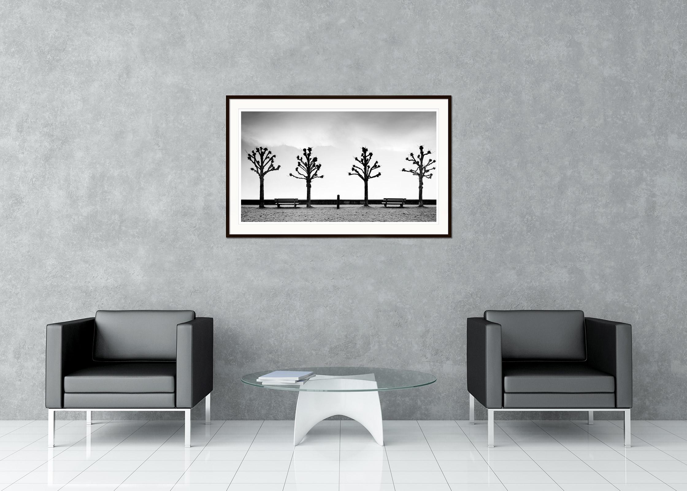 Black and white fine art landscape photography. Chestnut trees on the promenade in historic Gmunden, Austria. Archival pigment ink print as part of a limited edition of 8. All Gerald Berghammer prints are made to order in limited editions on