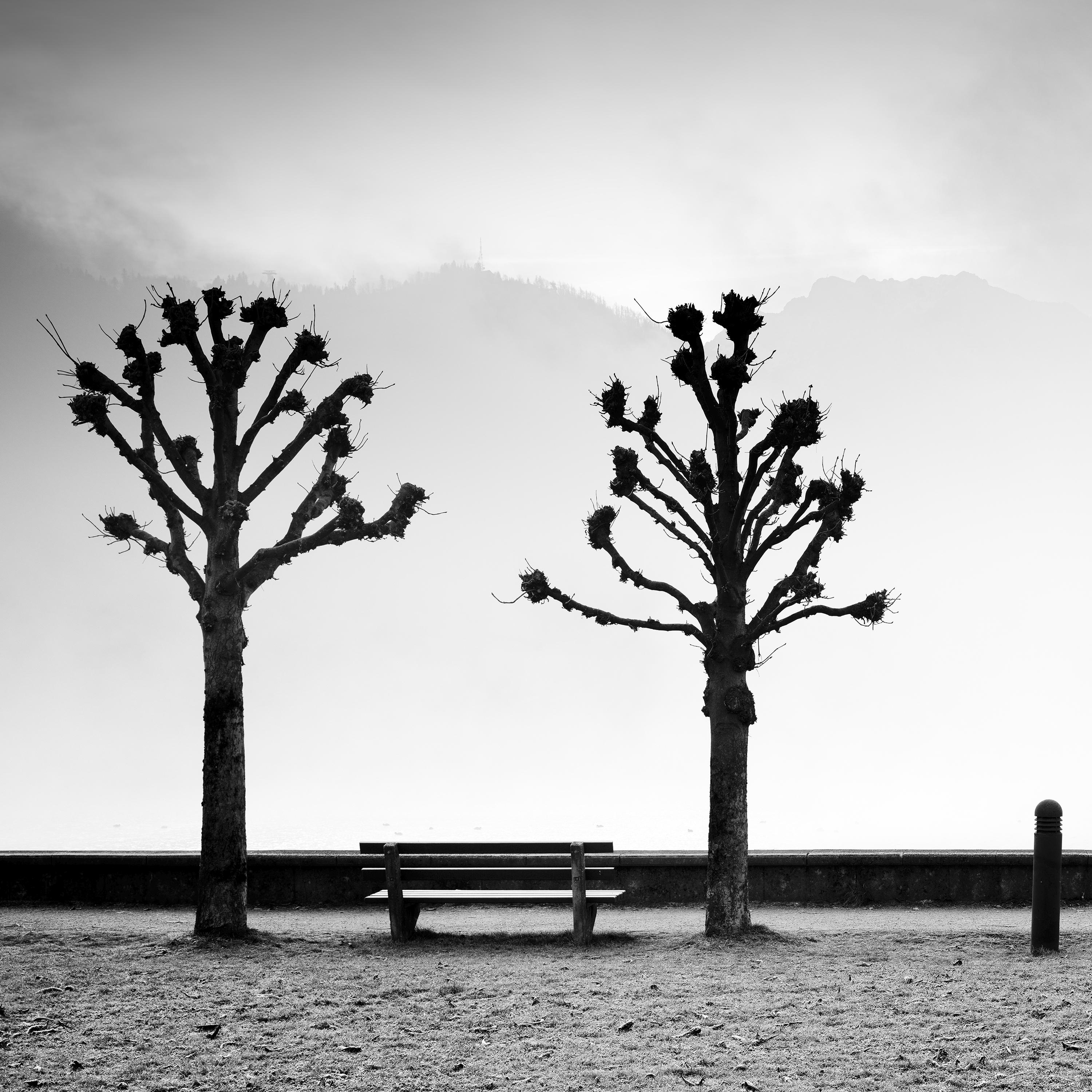 Esplanade mit Kastanienbäumen, Schwarz-Weiß-Fotografie der bildenden Kunst, Minimalismus und Schwarz-Weiß-Fotografie im Angebot 3
