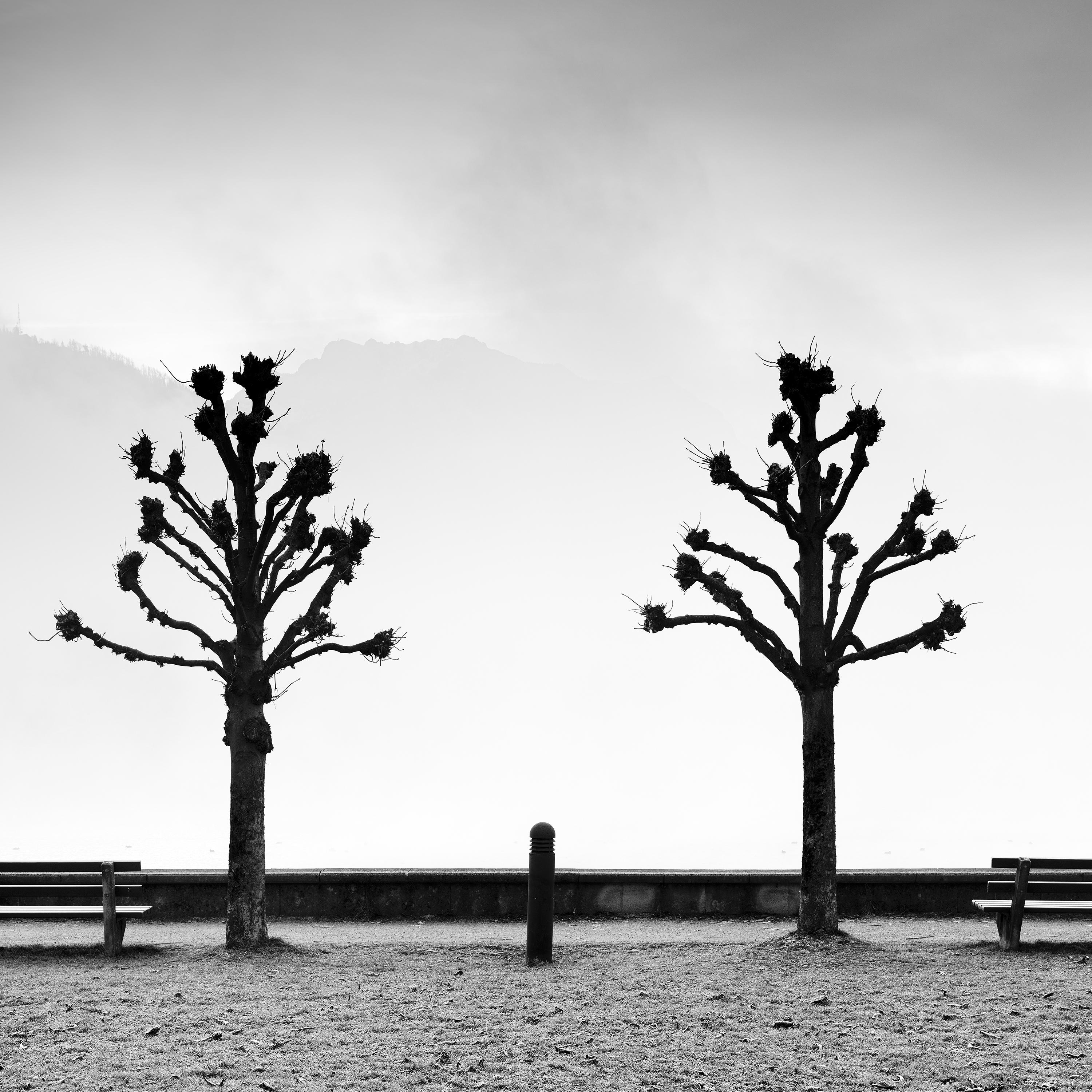 Esplanade mit Kastanienbäumen, Schwarz-Weiß-Fotografie der bildenden Kunst, Minimalismus und Schwarz-Weiß-Fotografie im Angebot 4