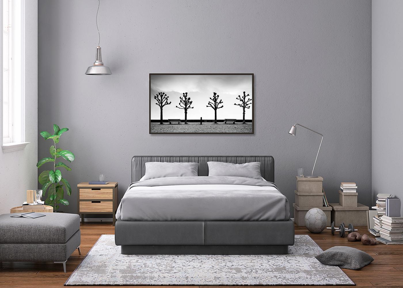 Esplanade avec des marronniers, noir et blanc, beaux-arts, photographie minimaliste en vente 1