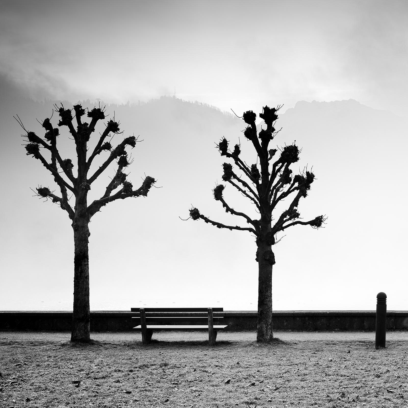 Esplanade avec des marronniers, noir et blanc, beaux-arts, photographie minimaliste en vente 4