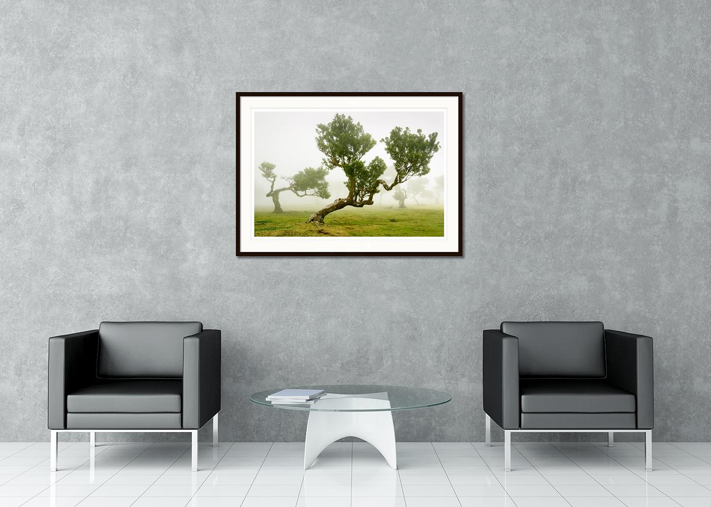 Fotografia paesaggistica artistica a colori. Stampa con inchiostro a pigmenti d'archivio in edizione limitata di 7 esemplari. Tutte le stampe di Gerald Berghammer sono realizzate su ordinazione in edizione limitata su Hahnemuehle Photo Rag Baryta.