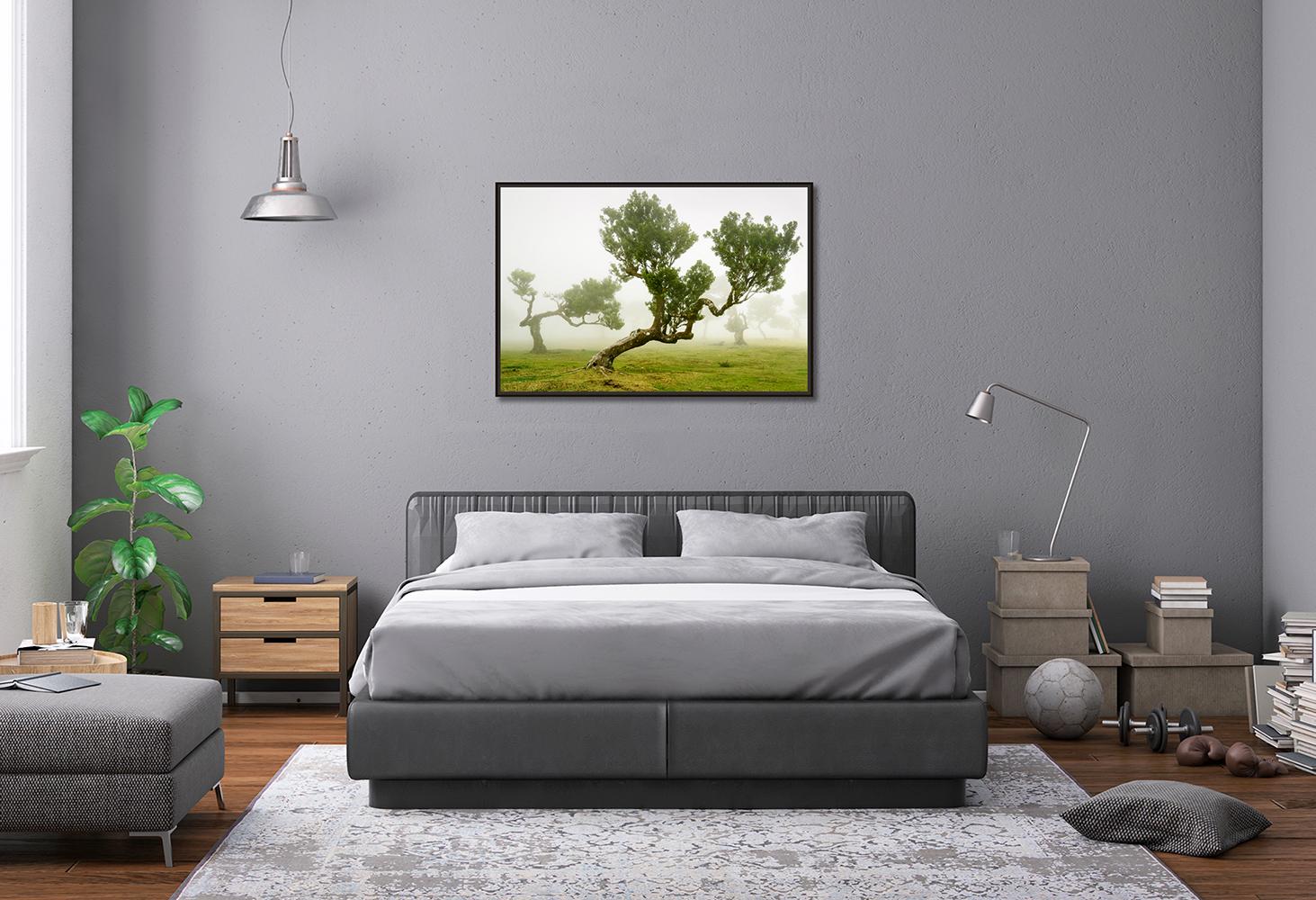 Foresta delle fate, alberi secolari piegati, fotografia in grande scala, stampa in edizione limitata in vendita 1