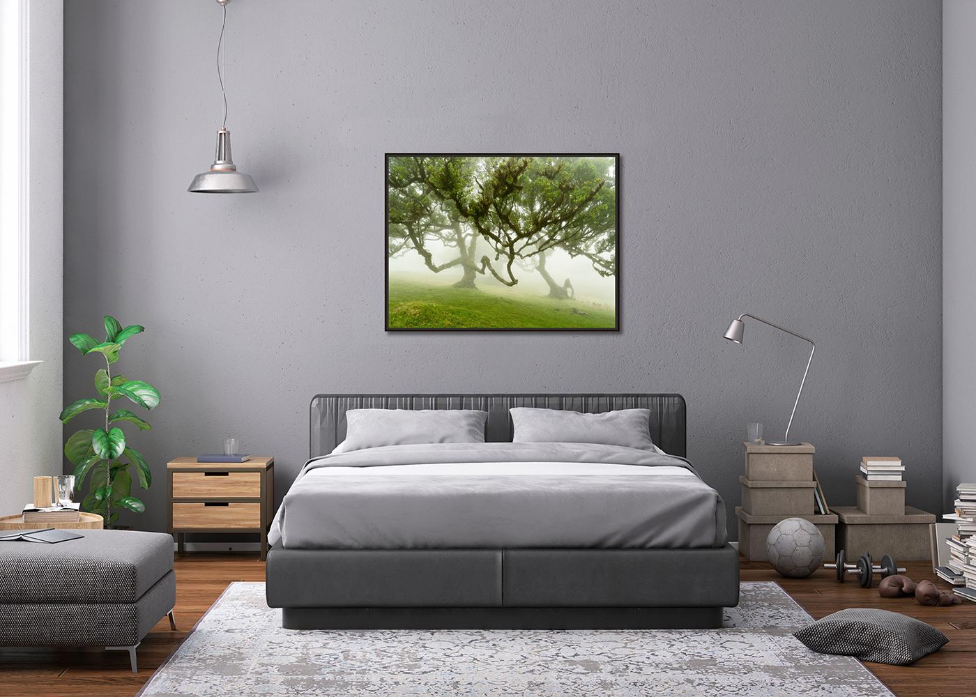 Fairy Forest in the Fog, großformatige Fotografie, Landschaft, limitierte Auflage im Angebot 1